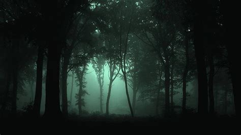 Dark Forest Aesthetic Wallpapers - Top Free Dark Forest Aesthetic ...