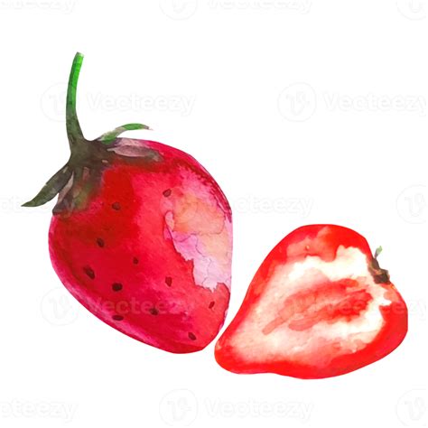 strawberry watercolor illustration 16327587 PNG