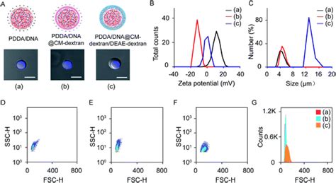 Construction of coacervate-in-coacervate multi-compartment protocells for spatial organization ...