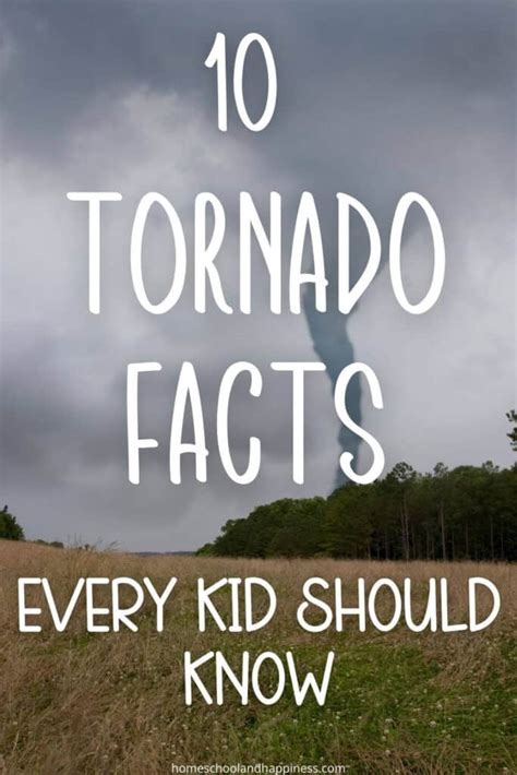 10 Tornado Facts for Kids - Learning About Tornados