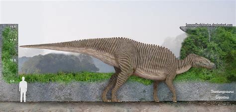 Shantungosaurus by SameerPrehistorica on DeviantArt