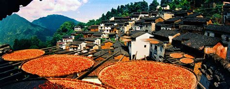 2 Days Wuyuan Visual Feast Tour, Wuyuan Autumn Tour, Wuyuan Flower Tour