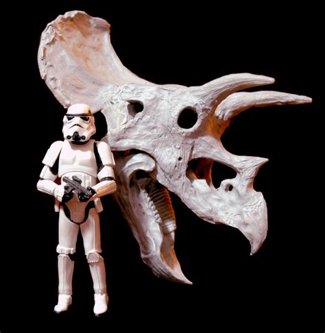 triceratops skull p1 by hannay1982 on DeviantArt