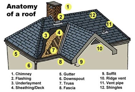 Anatomy of a Roof | Angie's List