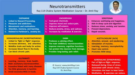 List of Important Neurotransmitters and their Functions