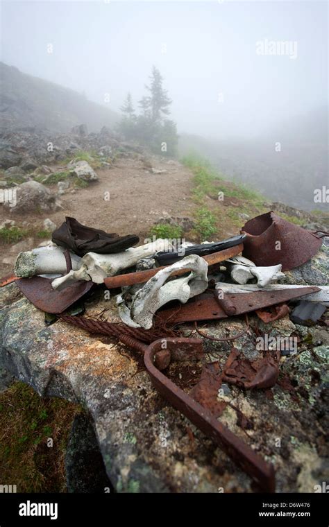 Old artifacts. Chilkoot Trail. Klondike Gold Rush National Historical ...