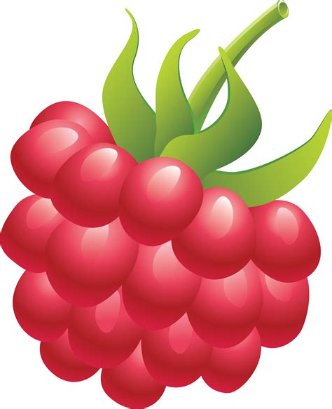 Raspberry clipart 20 free Cliparts | Download images on Clipground 2024