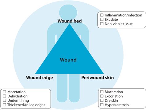 [PDF] Taking wound assessment beyond the edge | Semantic Scholar