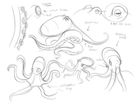 octopus drawing tutorial - Pesquisa Google | Octopus drawing, Drawing tutorial, Octopus sketch