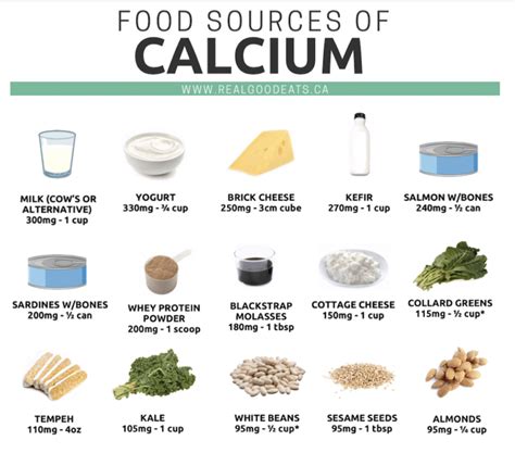 Food Sources of Calcium