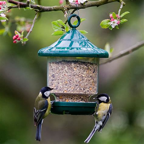 Bird and Wildlife Care - Aylett Nurseries - Visit Ayletts Garden Centre for all your gardening needs