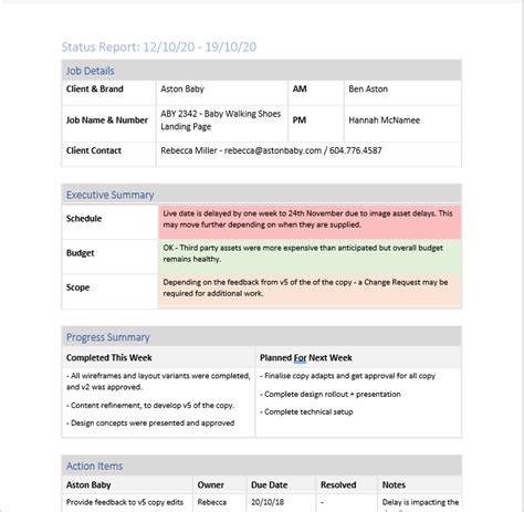 How To Build Project Status Reports + Template and Examples