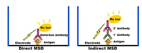 Meso Scale Discovery - MSD - Pacific BioLabs