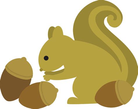 Squirrel with acorn clipart. Free download transparent .PNG | Creazilla