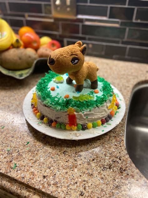 Capybara cake | Frog cakes, Capybara, Cake