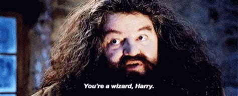 Rubeus Hagrid You Are A Wizard GIF - Rubeus Hagrid You Are A Wizard ...