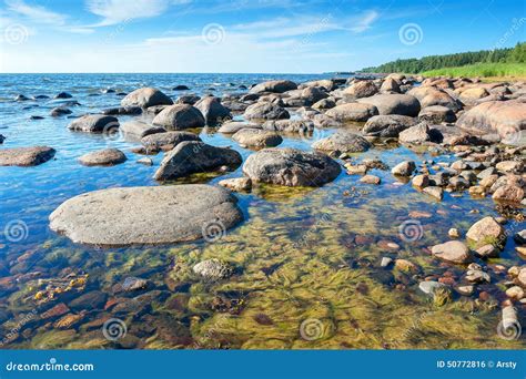 Coast of Baltic Sea. Estonia Stock Photo - Image of blue, europe: 50772816