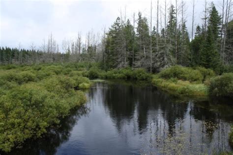 Exploring Wisconsin's Historic Chequamegon-Nicolet National Forest