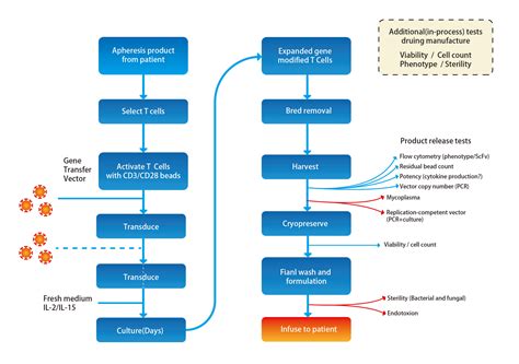 Car T Cell Therapy Manufacturing - Photos
