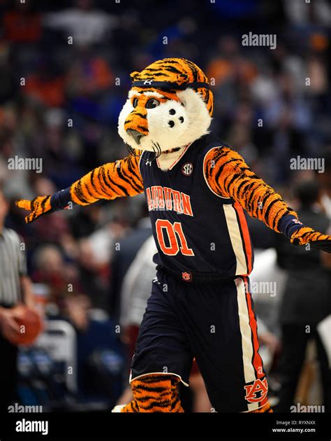 Auburn tigers mascot hi-res stock photography and images - Alamy