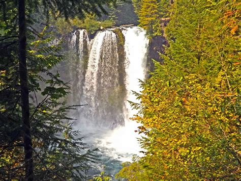 Oregon Mckenzie River Waterfalls Landscape Nature-20 Inch By 30 Inch Laminated Poster With ...