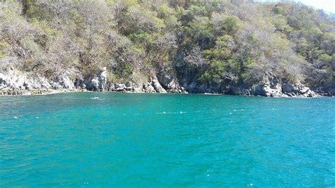 Huatulco National Park - All You Need to Know BEFORE You Go (2024)