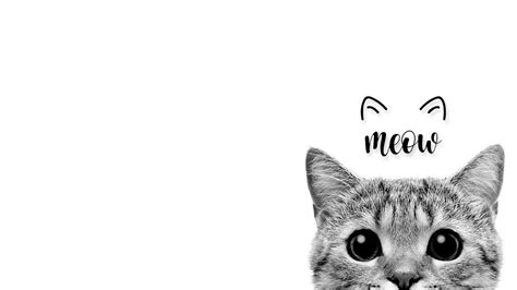 Cat desktop wallpaper 1366x768 | Tutoriel de dessin, Fond d'écran téléphone, Écran de verrouillage