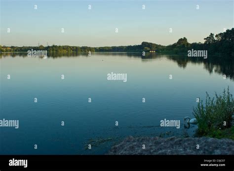 Swithland Reservoir at Dusk Stock Photo - Alamy