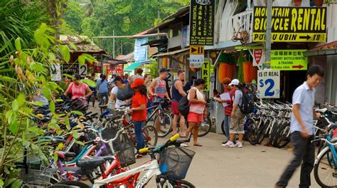 𝗧𝗢𝗣 𝟭𝟬 𝗛𝗼𝘁𝗲𝗹𝘀 𝗶𝗻 Pulau Ubin (2022) | Expedia