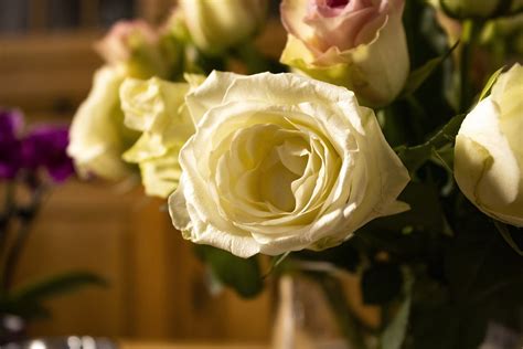 Rose Flower Vase - Free photo on Pixabay - Pixabay