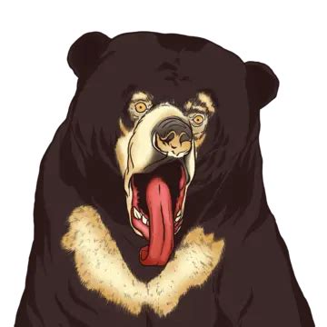 Illustration Of Honey Bear, Honey Bears, Bear, Bear Illustration PNG Transparent Clipart Image ...