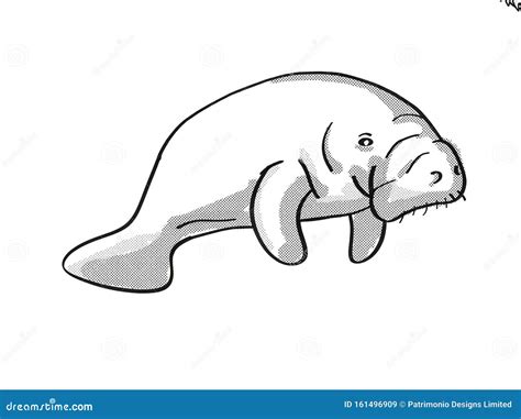 Manatee or Sea Cow Endangered Wildlife Cartoon Mono Line Drawing Stock ...