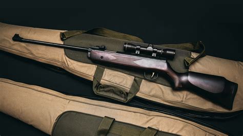 Why You Should Consider a Bolt Action Rifle Over an AR-15 - Monstrum ...