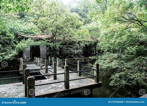 Hiking Trail in the Hangzhou Zoo. Beautiful Nature Stock Photo - Image ...