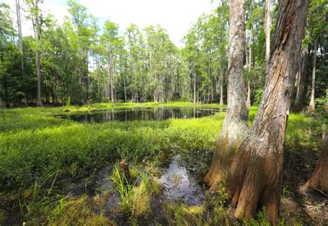 Colt Creek State Park | Florida State Parks