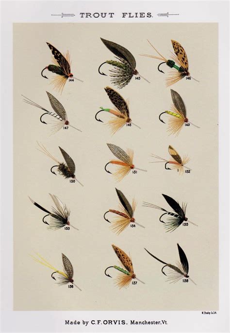 Vintage Fly Fishing Lures Print Trout Flies Print Fishing | Etsy | Fly fishing art, Fishing ...