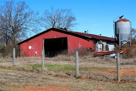 Bird Flu Prevention Practices - National Land Realty News