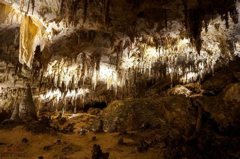 5 Things You Can't Miss On Your First Visit to Carlsbad Caverns