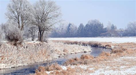 5120x1440 Resolution forest, winter, trees 5120x1440 Resolution ...