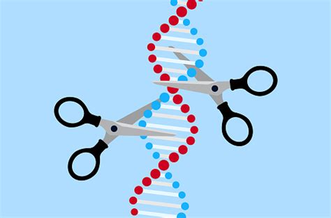 Free dna editing stock photos. Download the best free dna editing ...