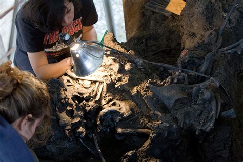 Tar pit bones yield climate clues