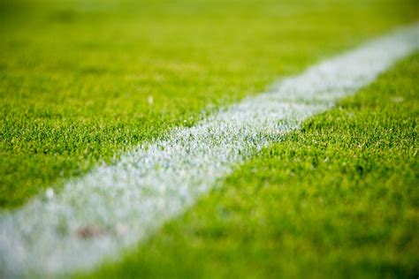 grass, Soccer Field Wallpapers HD / Desktop and Mobile Backgrounds