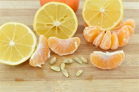 Free picture: mandarin, orange, seed, tangerine, fruit, vitamin, fresh, citrus, wood, health