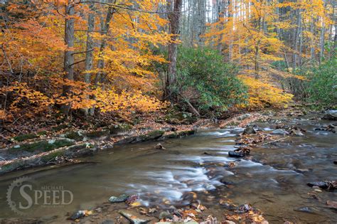 Michael Speed | New fall photos from Indian Valley Virginia.