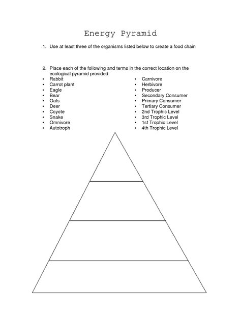 Building An Energy Pyramid Worksheet Answer Key – Kidsworksheetfun