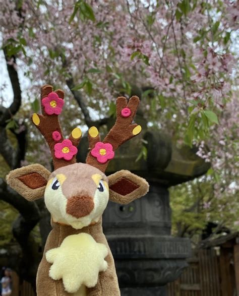 Cherry blossom season with Sawsbuck : r/pokeplush