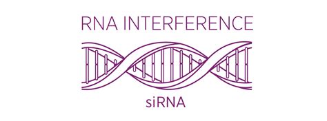 What is RNAi and How Do RNAi Therapeutics Work? | Alnylam® Newsroom