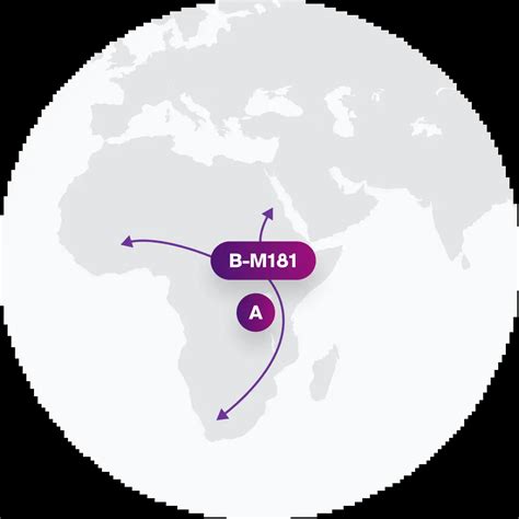 Uncover the Secrets of Paternal Haplogroup B-M181