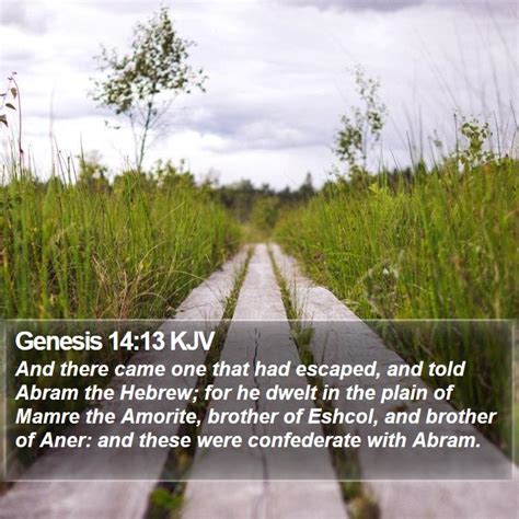 Genesis 14:13 KJV - And there came one that had escaped, and told