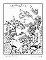 Free Coral Reef Coloring Pages sketch template